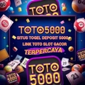 gacortoto5000